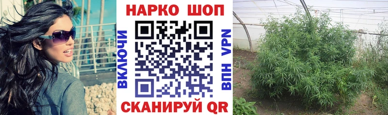 Где купить наркотики Тюкалинск Канабис Псилоцибиновые грибы ГАШИШ МЕФ ТГК А ПВП