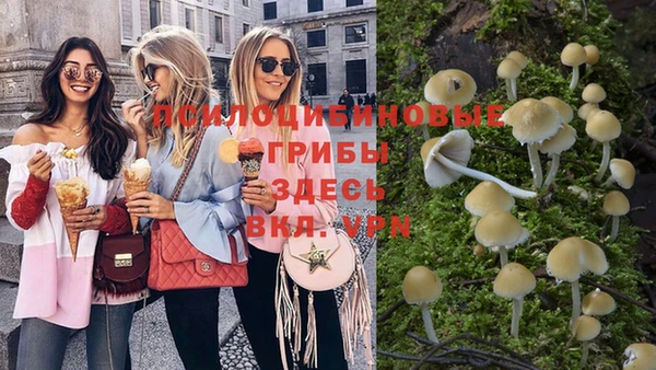 винт Беломорск