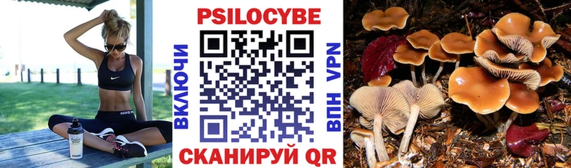 цены   Тюкалинск  Галлюциногенные грибы Magic Shrooms 